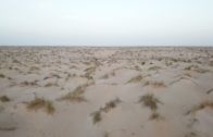 deserto sahara Fede